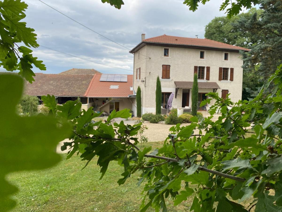 Hotel Les Berouds Salaise-sur-Sanne Zewnętrze zdjęcie